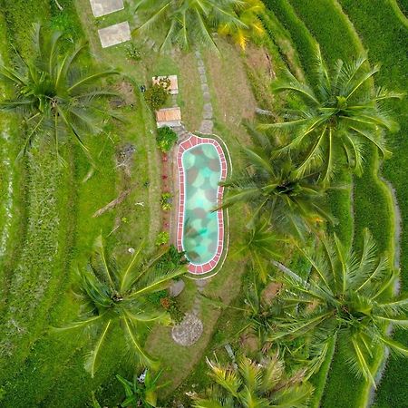 Pesona Bali Ecolodge By Agata Desa Desa Jatiluwih Exteriör bild