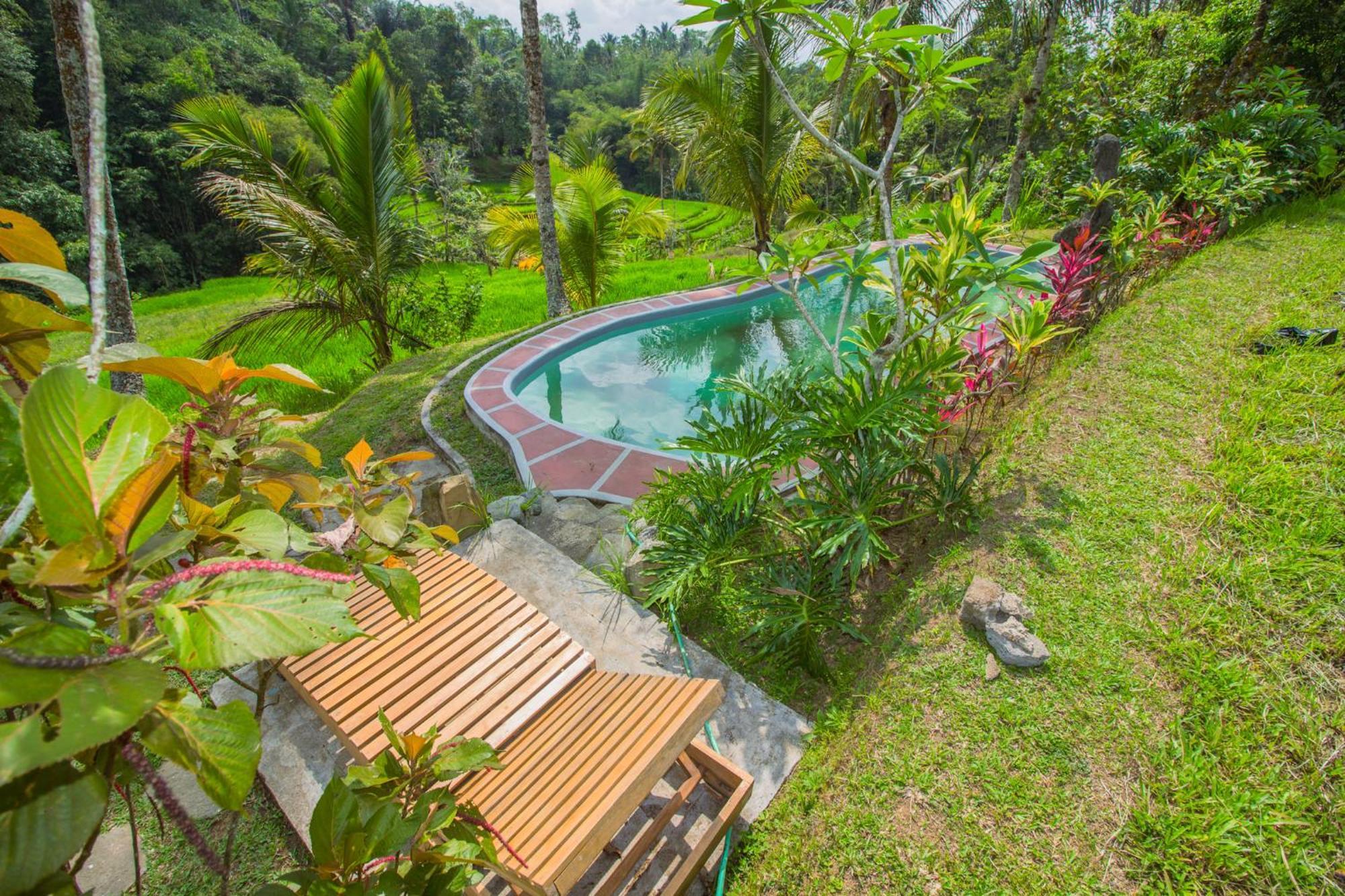 Pesona Bali Ecolodge By Agata Desa Desa Jatiluwih Exteriör bild