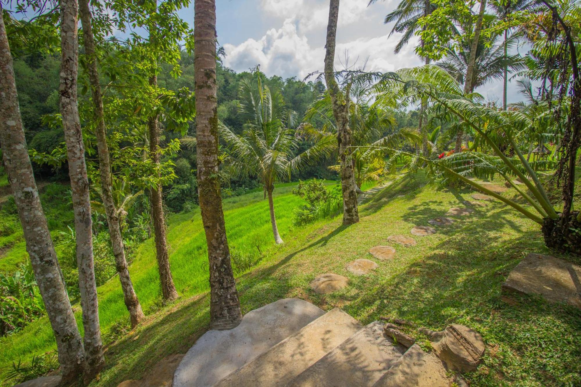 Pesona Bali Ecolodge By Agata Desa Desa Jatiluwih Exteriör bild