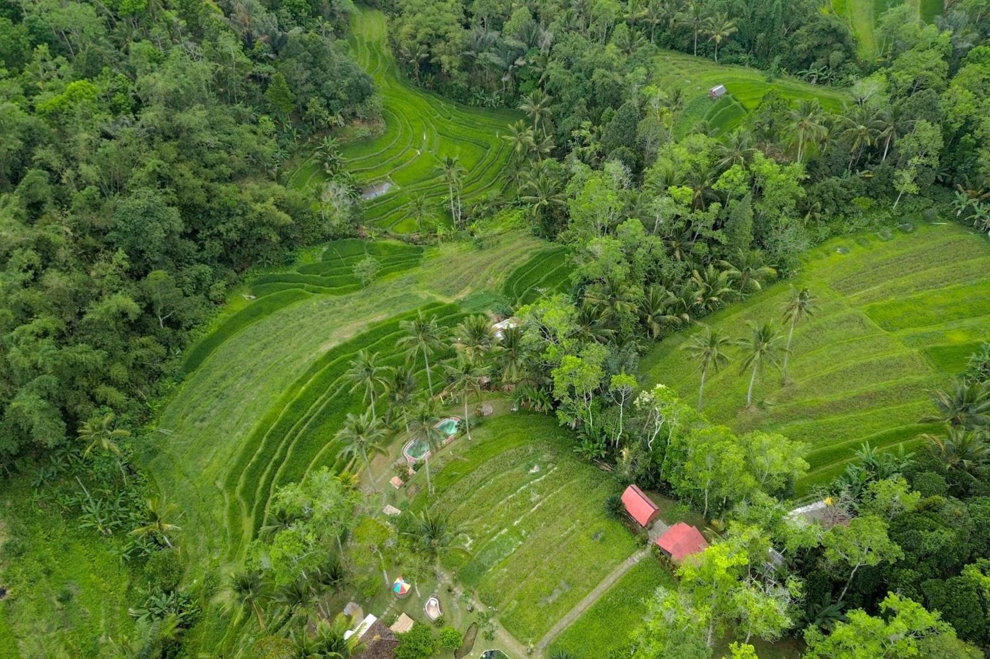 Pesona Bali Ecolodge By Agata Desa Desa Jatiluwih Exteriör bild