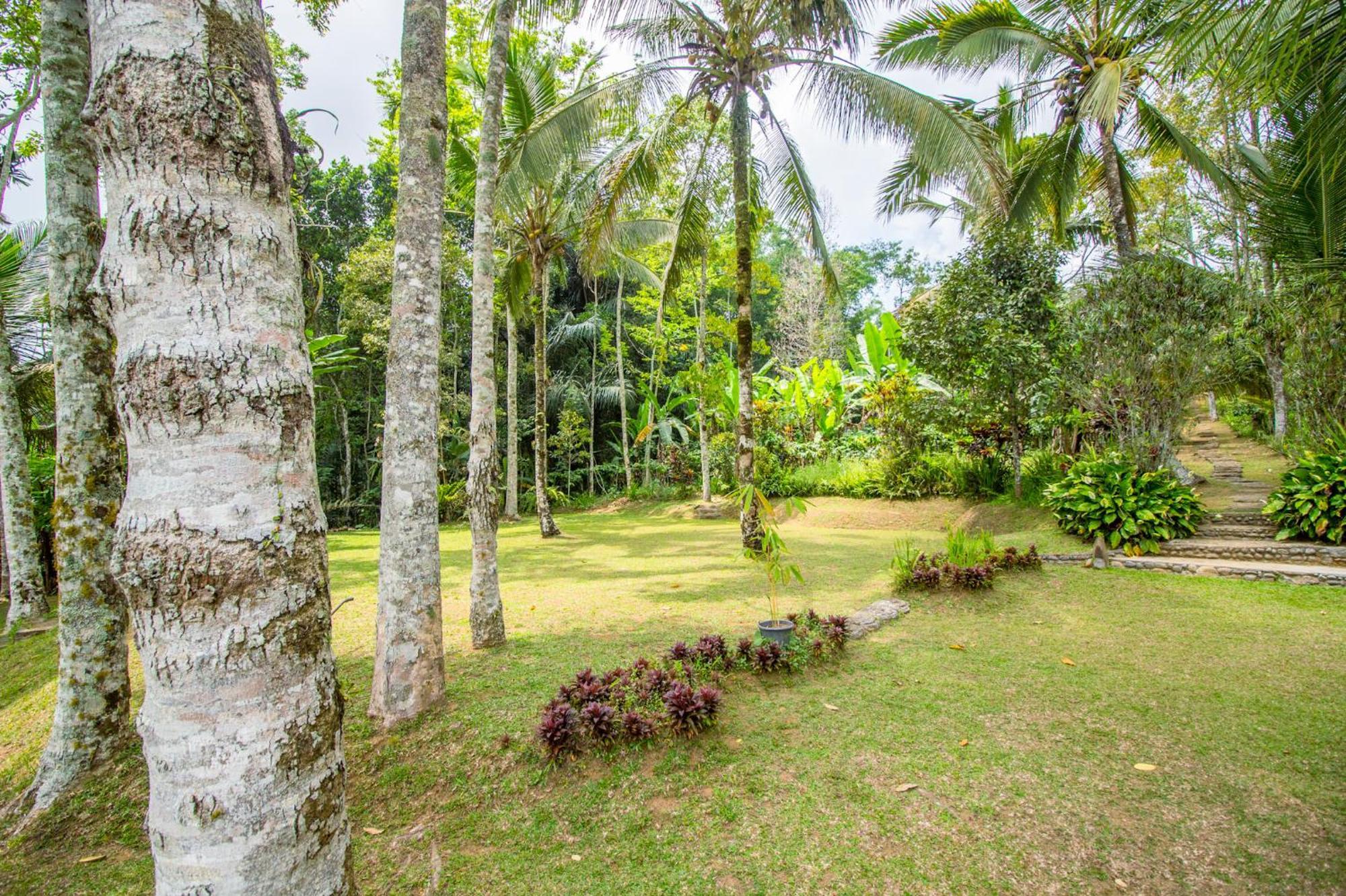 Pesona Bali Ecolodge By Agata Desa Desa Jatiluwih Exteriör bild