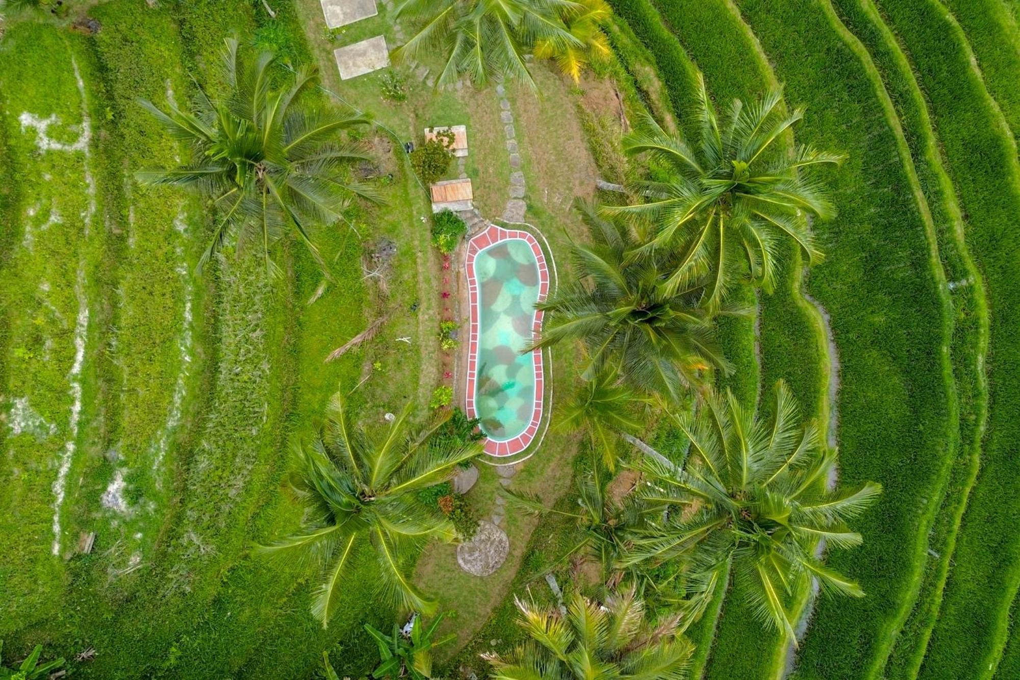 Pesona Bali Ecolodge By Agata Desa Desa Jatiluwih Exteriör bild