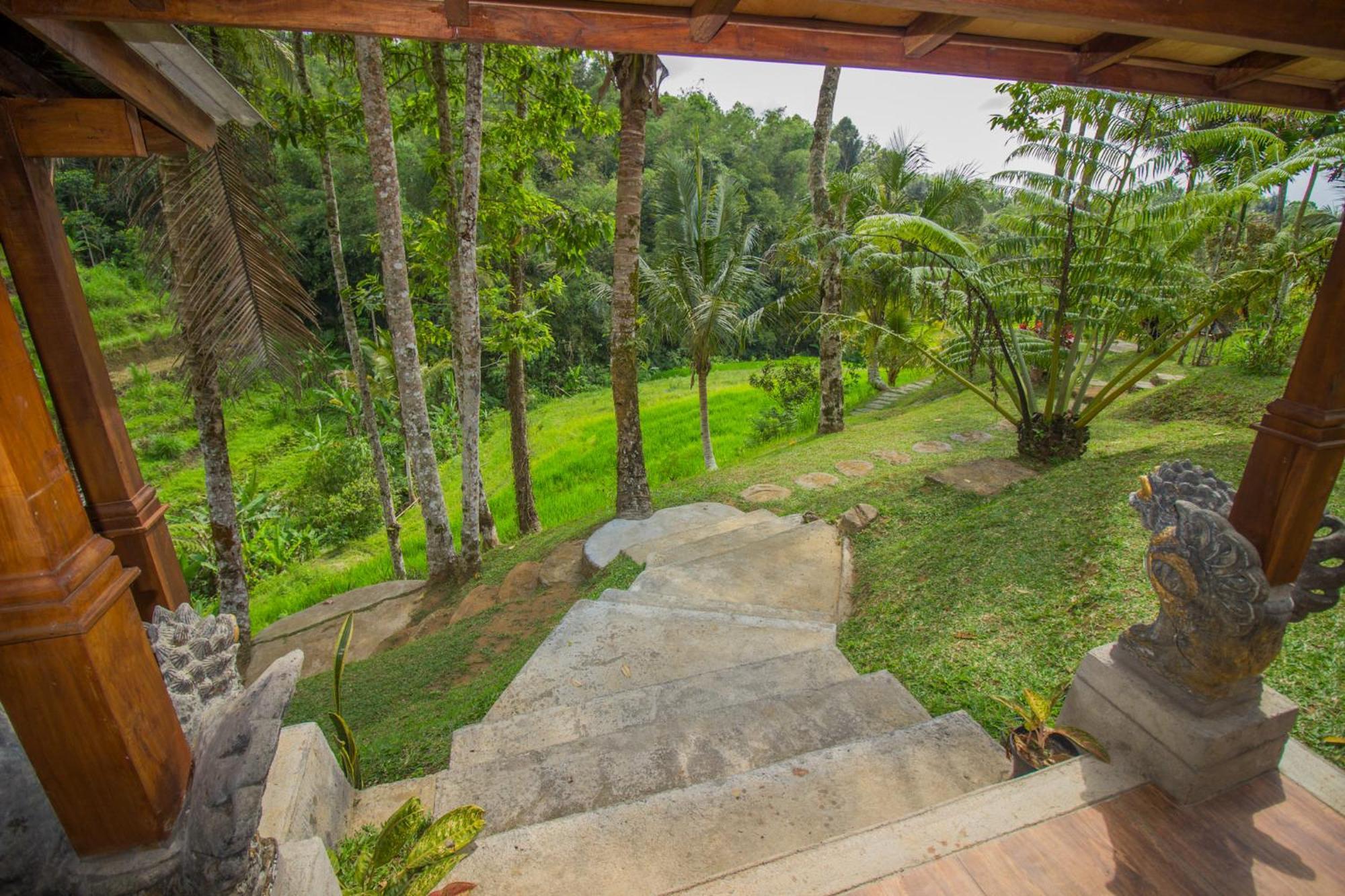 Pesona Bali Ecolodge By Agata Desa Desa Jatiluwih Exteriör bild