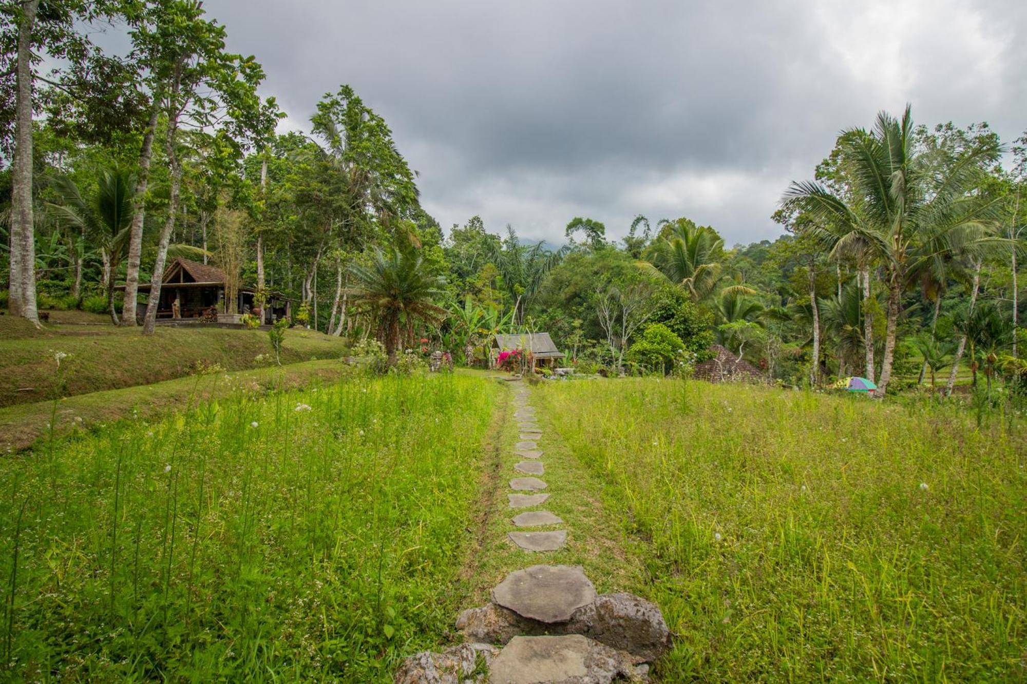 Pesona Bali Ecolodge By Agata Desa Desa Jatiluwih Exteriör bild