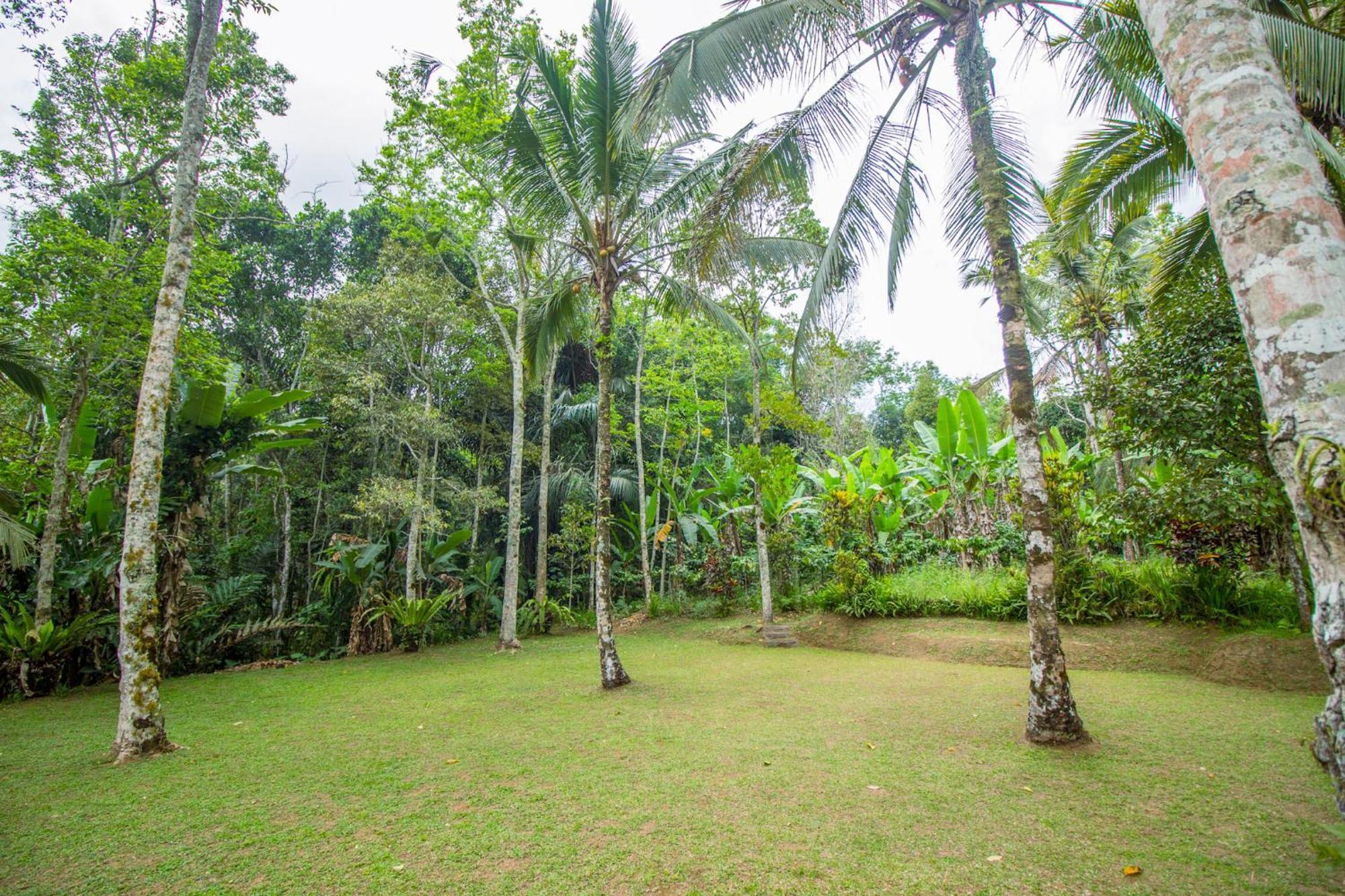 Pesona Bali Ecolodge By Agata Desa Desa Jatiluwih Exteriör bild